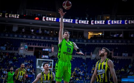 Tofaş deplasman potasında mağlup oldu