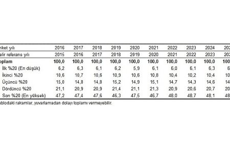 Gelir Dağılımı İstatistikleri, 2025