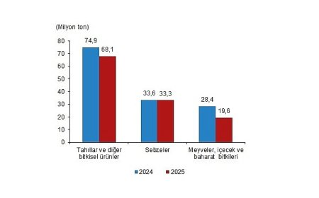 Bitkisel Üretim İstatistikleri, 2025