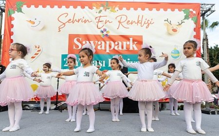 Yenişehir’de Yılbaşı Festivali Coşkusu Yaşandı