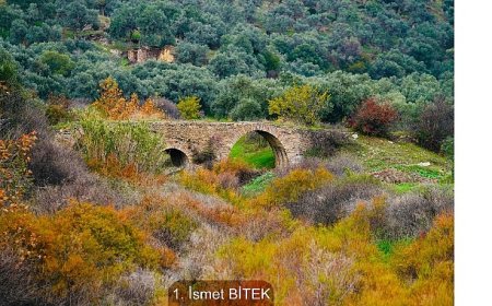 Sonbaharın Tüm Renkleri Bayındır’da Buluştu