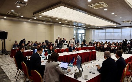 İBB’den Beşinci Taksi İhalesi: 98 Plaka Satıldı