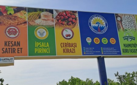 Enez’de kiraz bahçelerine RES köylüleri ayağa kaldırdı