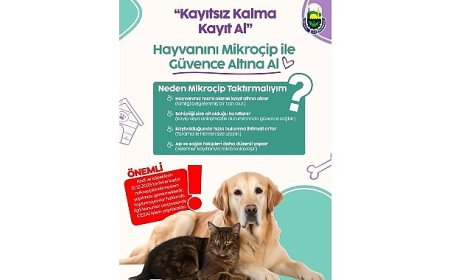İnegöl Belediyesi’nden Evinde Kedi-Köpek Besleyenlere Mikroçip Uyarısı