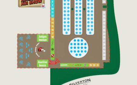 All American Koi Show 2026: Koi dünyasının en prestijli yarışması Las Vegas’a dönüyor