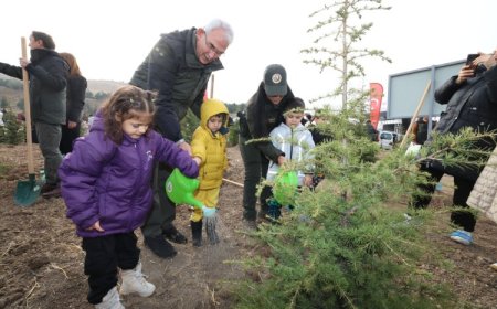 Milli Ağaçlandırma için hazırlıklar tamam