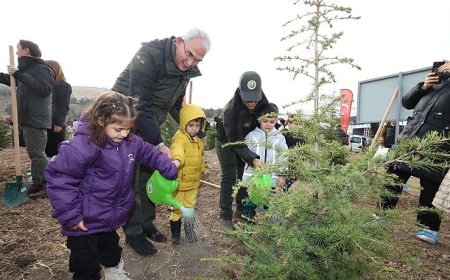 OGM, Milli Ağaçlandırma Günü için tüm hazırlıkları tamamladı