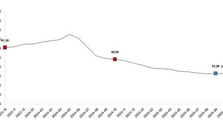 Tüketici Fiyat Endeksi, Ekim 2025