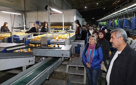 “İşinizi aşkla yapın dürüst olun başarı peşinden gelecek”