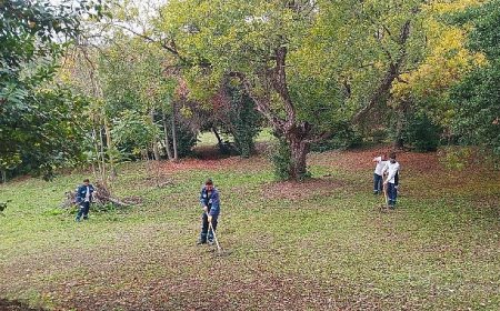 Darıca Millet Bahçesi’nde temizlik seferberliği