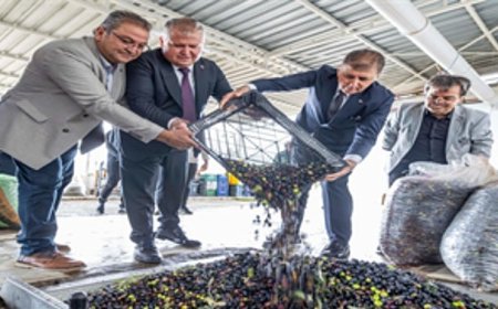 Sezonun ilk zeytinyağı Başkan Tugay’dan