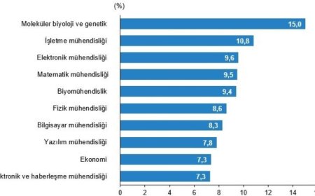 Beyin göçü durmadı! Her 50 üniversite mezunundan biri yurt dışında!