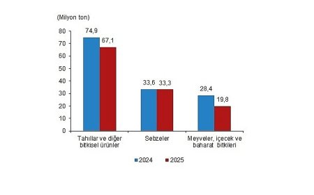 Bitkisel Üretim 2.Tahmini, 2025