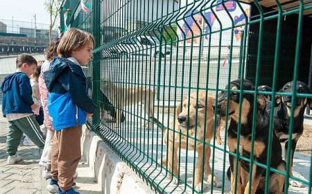 Bakioğlu Can Dostlarımız Yaşam Merkezi öğrencileri ağırlıyor