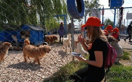 ASFİM’de çocuklar sporla büyüyor