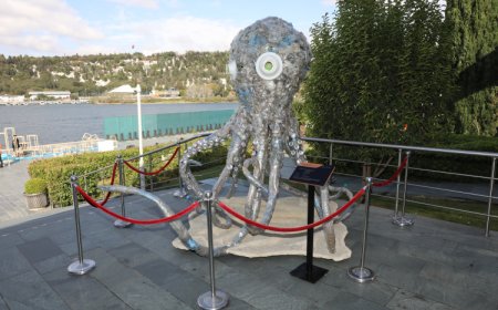 Marmara Denizi’nden neler neler çıktı? Atıklar Marmara Forum’da sergilendi