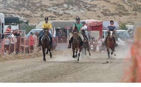 Türkiye’nin en başarılı atları Menemen’de yarışacak