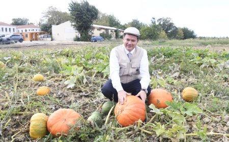 Osmangazi Belediyesi ata tohumlarını geleceğe taşıyor