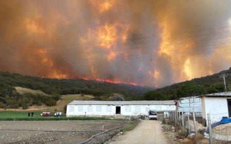 Bursa Yenişehir’de orman yangınına yoğun müdahale