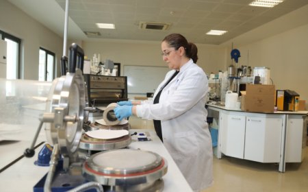 Kağıt atıkları doğa dostu saksılara dönüşüyor