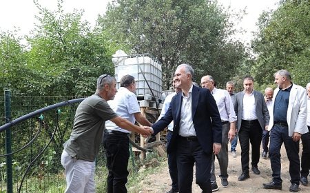 İnegöl Bal Üretiminde Kalitesiyle Dikkat Çekti