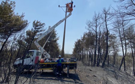 Enerji hatları yangının ardından yeniden onarılıyor