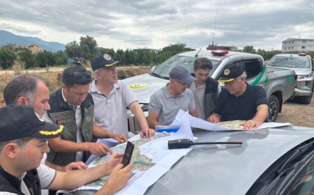 Bursa’da yangınzede ormanlar yeniden yeşertiliyor