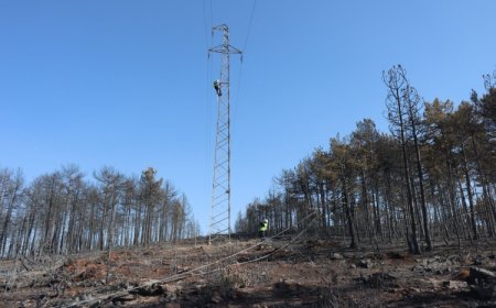 Bursa’daki yangın bölgesinde enerji hatları onarılıyor