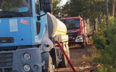 Bursa’da orman yangınlarında son durum… 9 mahalle boşaltıldı, hayvan barınağı yandı!