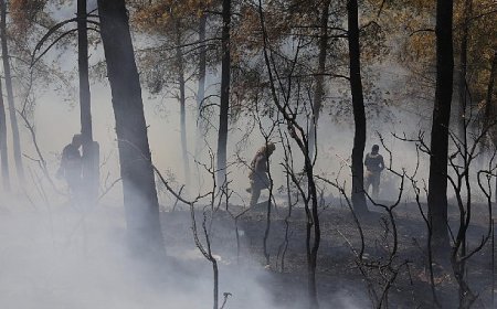 İBB’den Bursa’daki orman yangınına acil destek