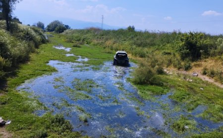 Bursa Büyükşehir’den sineklere karşı seferberlik
