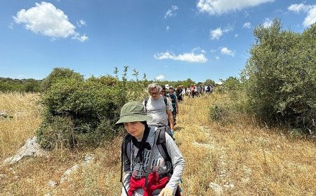 Mysia Yolları’nda Leylek Şenliğine özel yürüyüş