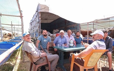 Büyükşehir kurban satış noktalarını ilaçlıyor