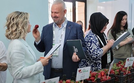 Emiralem Çilek Festivali rekor kırdı: milyonu geçti!