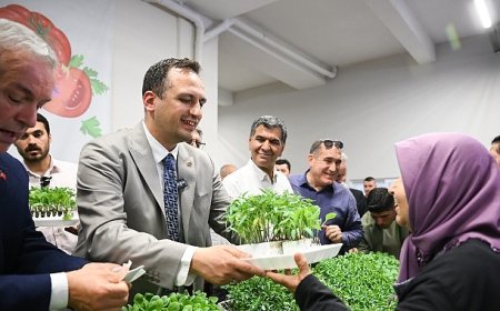 400 bin yazlık fide üreticiyle buluşuyor