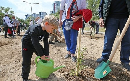 Karşıyaka’da zeytin fidanları toprakla buluştu