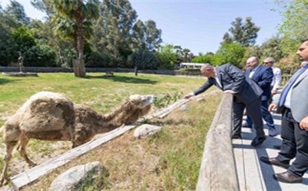Başkan Tugay: İzmir’in vicdanını temsil ediyorsunuz
