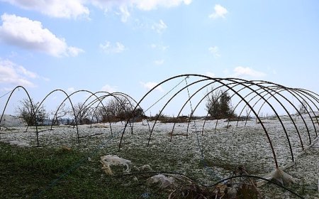 Büyükşehir ekipleri dolu yağışında mağdur olan çiftçinin yanında