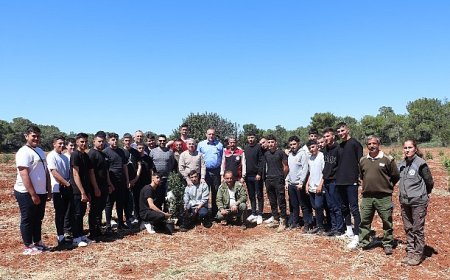 Çeşme Damla Sakızı Kıbrıs Topraklarında