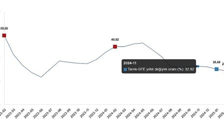 Tarımsal Girdi Fiyat Endeksi, Şubat 2025