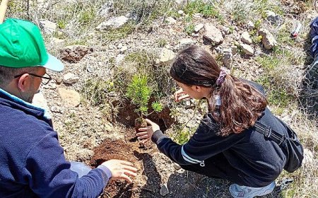 Selçuklu’da Yeşil Doku Güçlenmeye Devam Ediyor