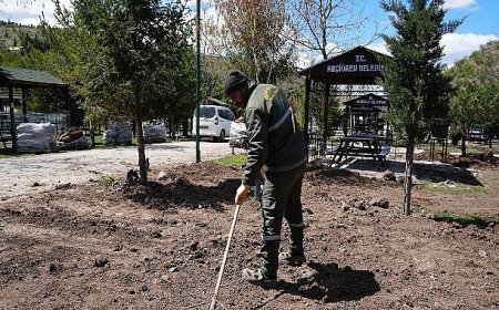 Kartaltepe Mesire Alanı Yaza Hazırlanıyor