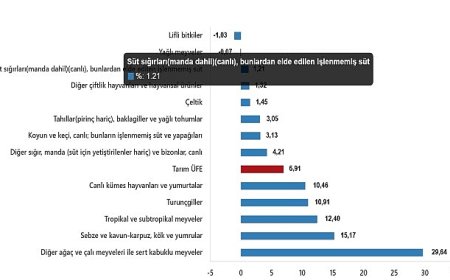 Tarım Ürünleri Üretici Fiyat Endeksi, Mart 2025