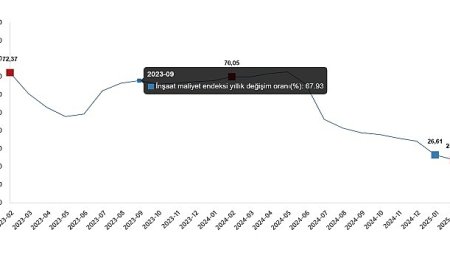 İnşaat Maliyet Endeksi, Şubat 2025