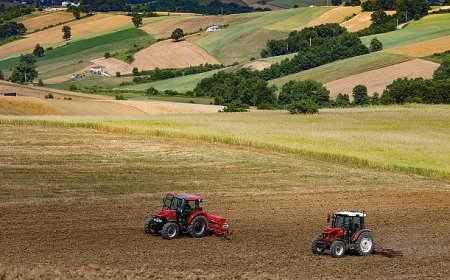 Büyükşehir destekliyor, üretici kazanıyor