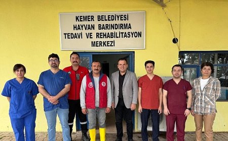 Satın alma sahiplen