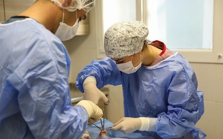 Buca Belediyesi can dostlarına umut oluyor