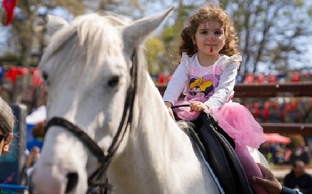 Saraçhane’de “Özgürlük ve Demokrasi Şenliği” Coşkusu Devam Ediyor