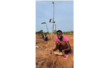 Bağcılar Belediyesi, Afrika’da yetimler için meyve bahçesi oluşturdu