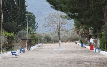 Bozdoğan Belediyesi, Bayram Öncesi Mezarlık Çalışmalarını Tamamladı